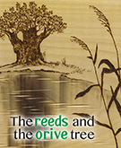 The reeds and the olive tree
